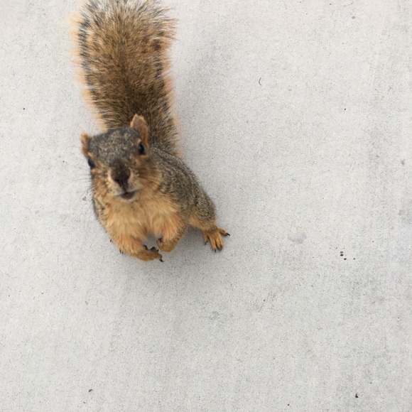 Meet your Posher, Brendan - Picture 1 of 1